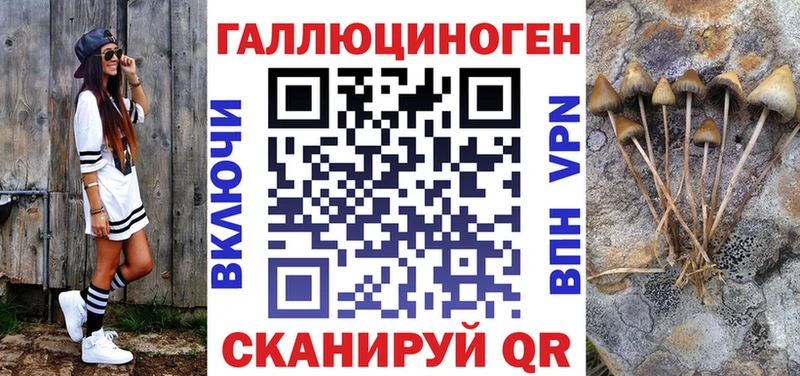 гидра как зайти  Рассказово  Псилоцибиновые грибы GOLDEN TEACHER  продажа наркотиков 